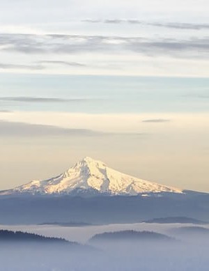 Navigating Cleaner Air Oregon (CAO)