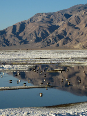 Owens Lake Dust Mitigation Project (OLDMP)