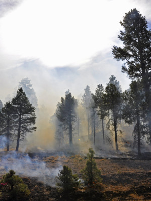 Arizona DEQ Smoke Management System